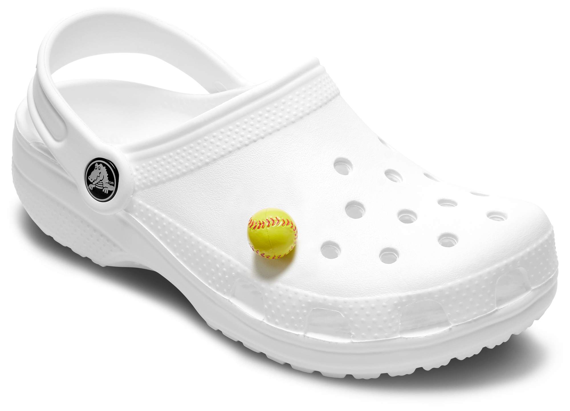 Shoe Charms Clogs 10 Schuh Pins Anstecker für Crocs Blumen u.a. 