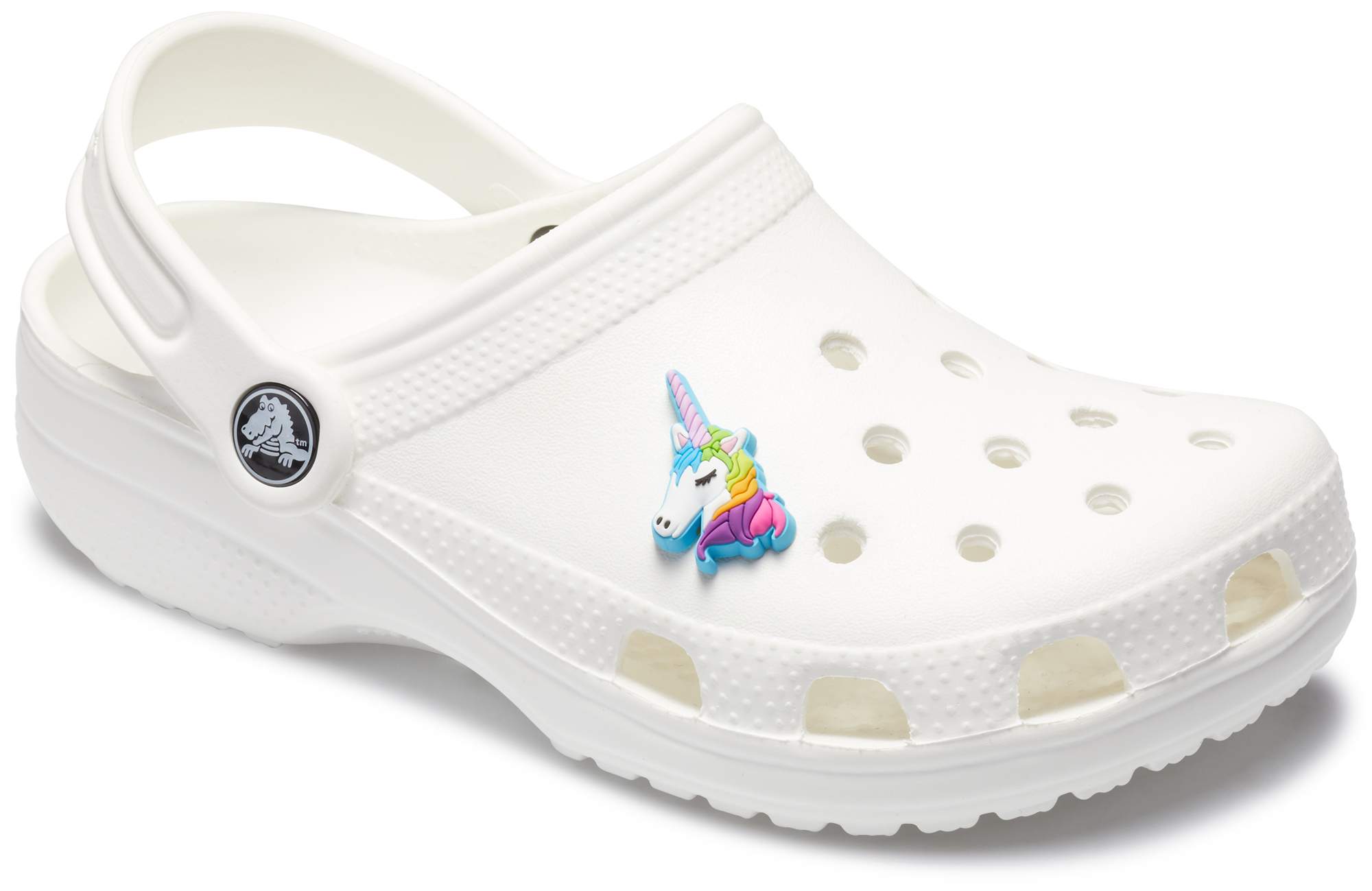 10 Schuh Pins Shoe Charms Anstecker für Crocs Clogs Blumen u.a. 