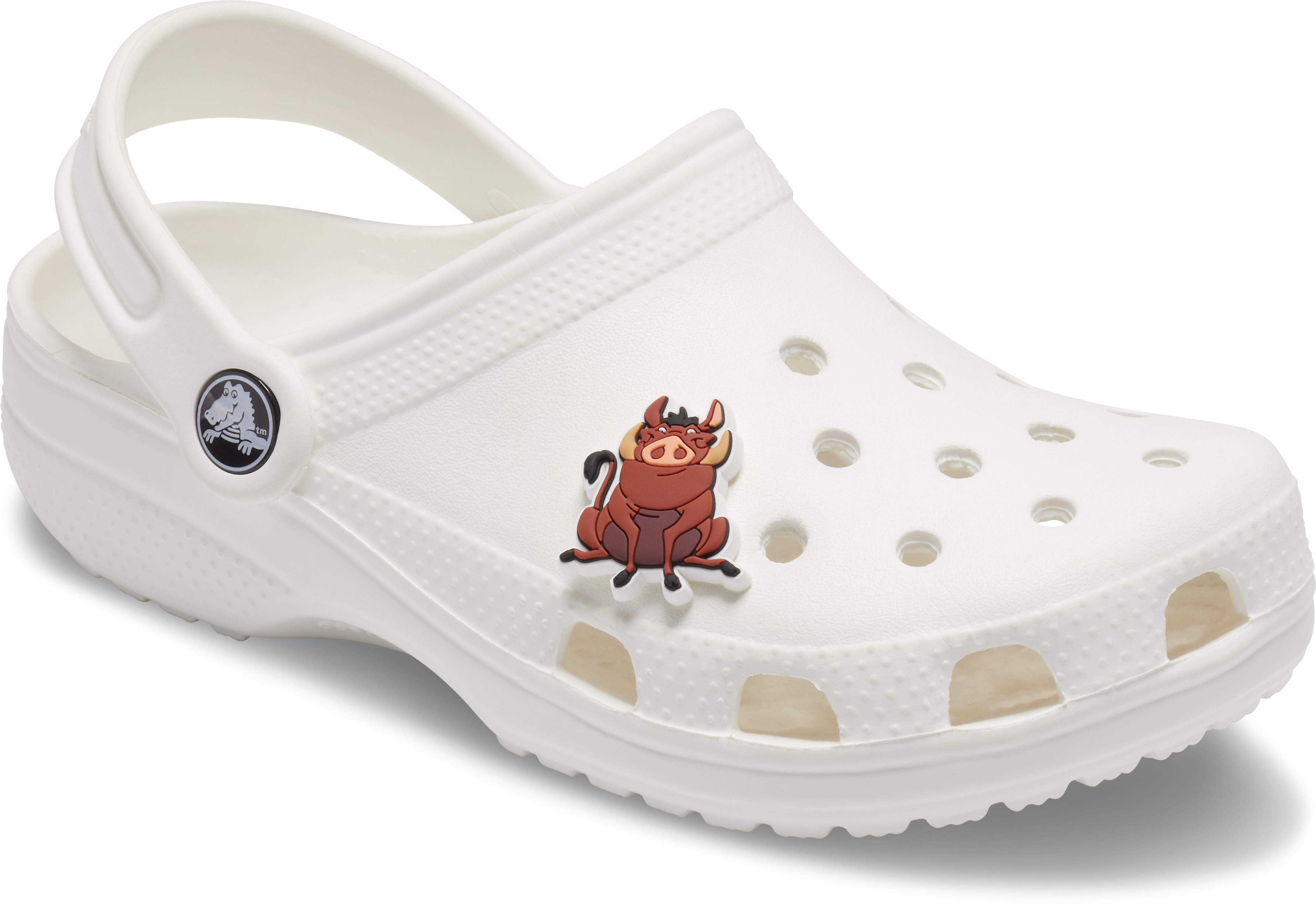 lion king croc jibbitz