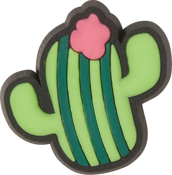 jibbitz cactus