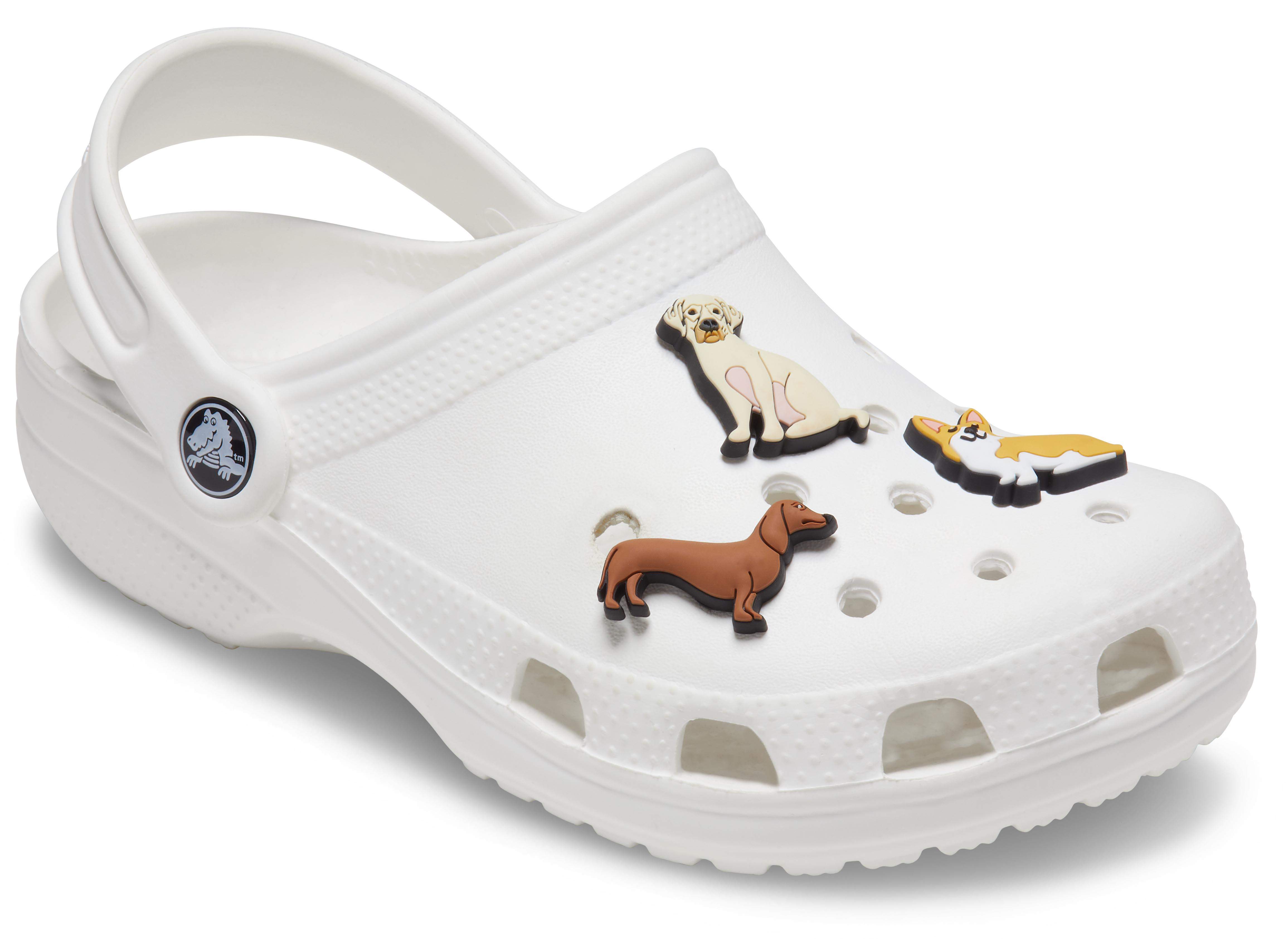 dog shoes crocs