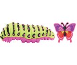 caterpillar crocs